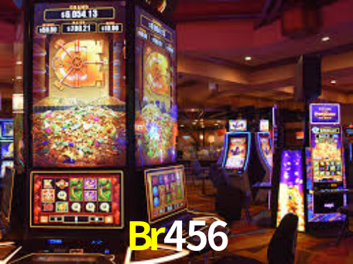 Interface Premium Br456